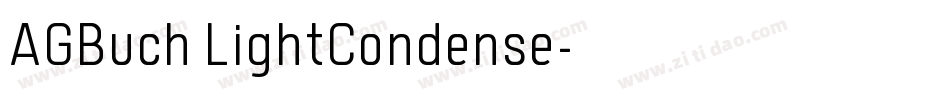 AGBuch LightCondense字体转换